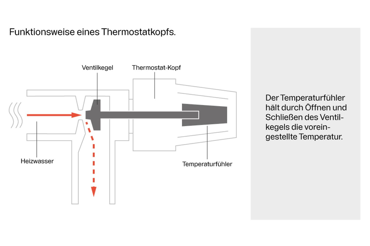 buderus_funktionsweise_thermostatkopf_heizung