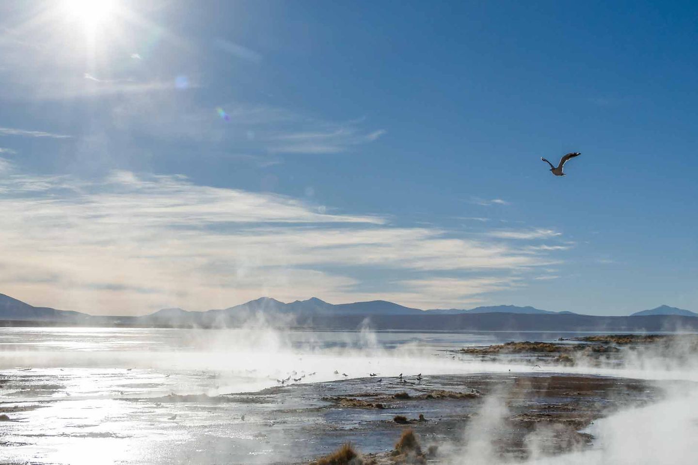 heisse_quelle_in_lagune