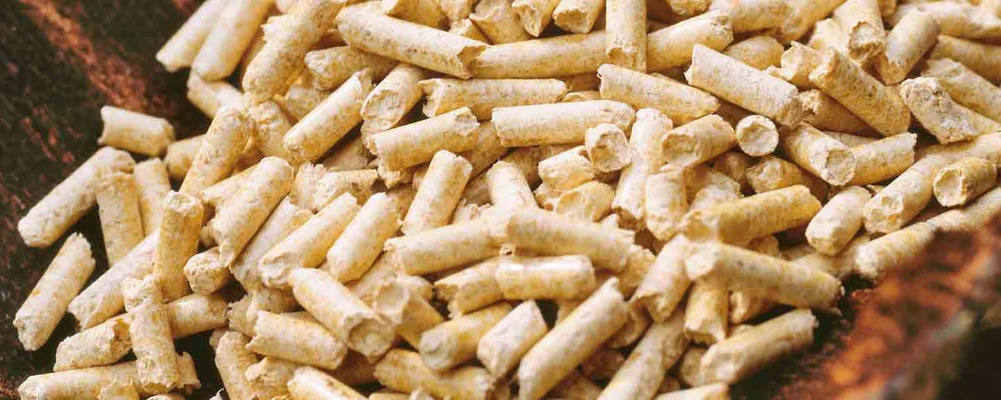 pellet pellet